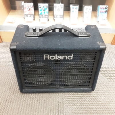 KC-220 30 Watt Battery Powered Stereo Keyboard Amplifier
